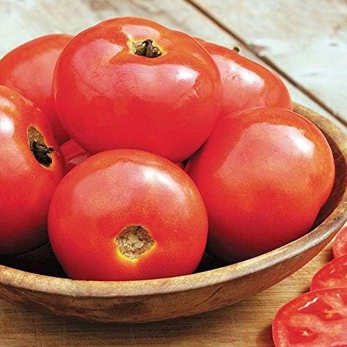 Bulk (1000) Tomato Seeds - Several Varieties Plant them or re-sell them!(1000 - Homestead Tomato Seeds) - Image 6
