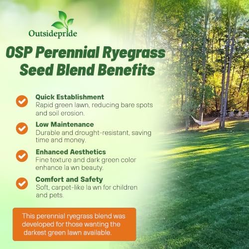 Outsidepride OSP Ryegrass Blend - 25 Lbs. Perennial, Pure Raw Seed w/ 0.00% Other Crop & Weed Seed - Image 3