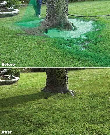 Hydro Mousse Bermuda Grass Seed - Large Refill Bag - Covers up to 1000 Square Feet - Image 5