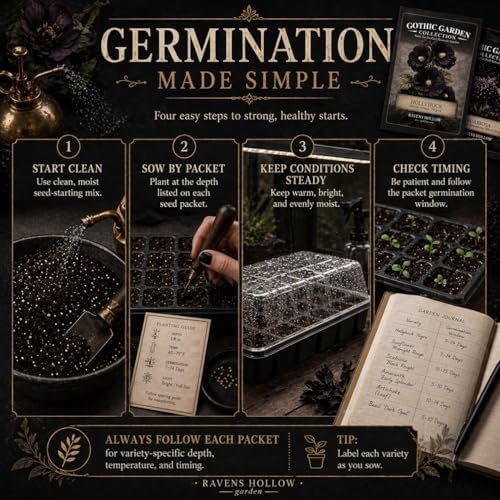 Gothic Garden Seed Collection, 6 Open-Pollinated Flower & Foliage Varieties - Image 7