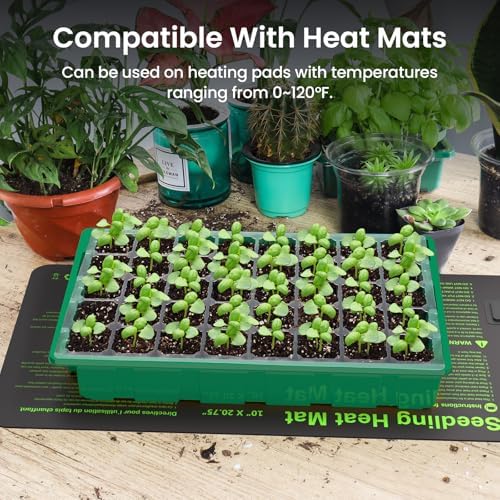 MIXC 2 Pack Seed Starter Tray with Grow Light, 80Cell Indoor Plant Grow Kit - Image 3