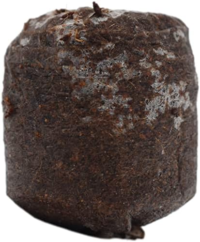 Homestead Garden Starter Kit – Complementary Non-GMO, Heirloom Vegetable Seeds for a Tasty, Sustainable Garden - Includes 20 Coco Coir Starter Pucks - Image 6