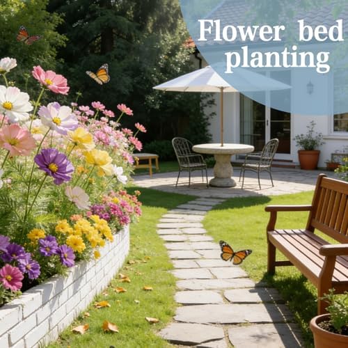 Cosmos Flower Seeds to Plant Outside, 500 Annual Flower Seeds, Easy Grow - Image 5