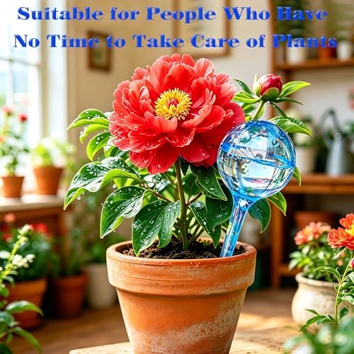Large 12pcs Plant Watering Globes, Plant Watering Bulb Indoor Potted Plant - Image 6