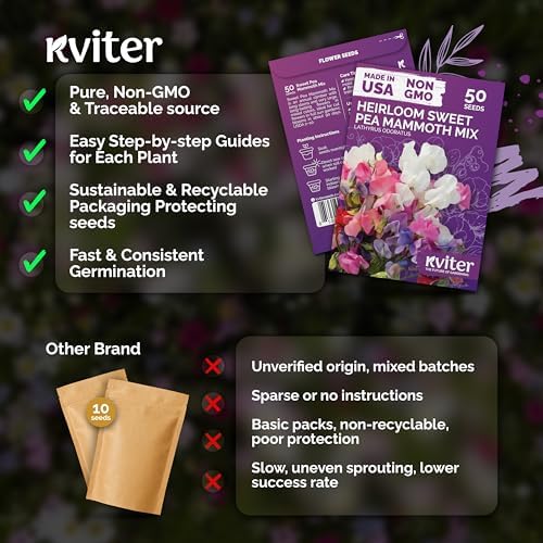 50 Sweet Pea Mammoth Mix Heirloom Flower Seeds, Lathyrus Odoratus - Image 5