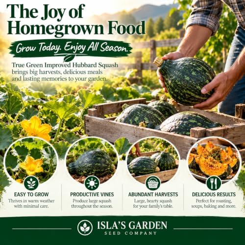 True Green Improved Hubbard Squash Seeds (Cucurbita Maxima) – 25 Heirloom Non-GMO Seeds by Isla’s Garden Seeds, Ideal for Planting, Excellent for Home Gardens, Perfect Gardening Gift - Image 6
