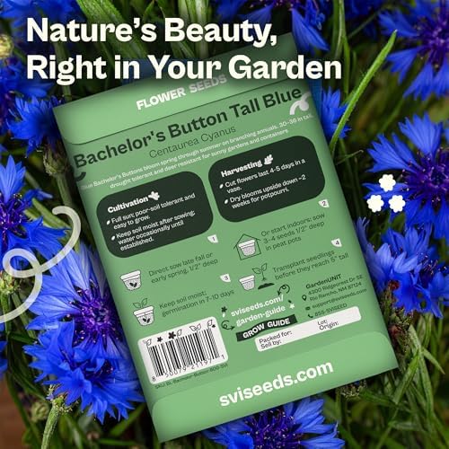 SVI 800 Blue Bachelor Button Seeds (Centaurea Cyanus) - Cornflower, Pollinator Favorite, Drought Tolerant, Heirloom Seed - Annual Flower Seeds in Seed Packets for Gardens & Containers, Cut Flowers - Image 2