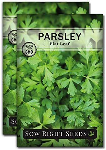 Sow Right Seeds - Flat Leaf Italian Parsley Seed for Planting Herbs 2pk by SowRightSeeds