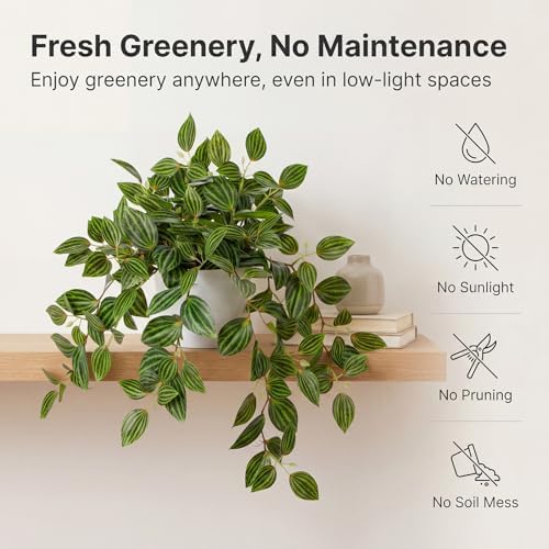 Briful Artificial Potted Plant Indoor, 17.7" Faux Watermelon Peperomia Trailing Plant in White Plastic Pot Realistic Fake Cascading Greenery for Shelf Bathroom Office Desk Tabletop Home Decor - Image 3