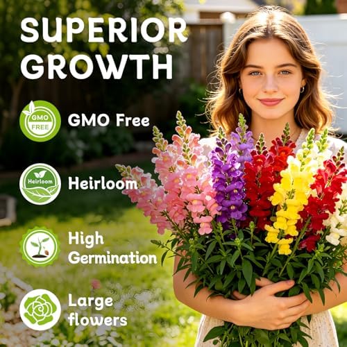 LUOJIBIE Snapdragon Seeds, 50,000+ Tetra Mix Snapdragon Seeds for Planting (Antirrhinum Majus) Fairy Bouquet Blend, Non-GMO Heirloom Annual Flower Garden Seeds Bulk for Outdoor & Indoor - Image 3