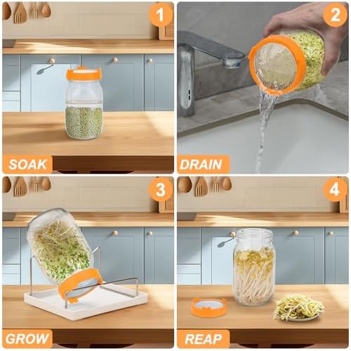 Lulonpon Sprouting Kit, 2 Sprouting Jar Kits, Wide Mouth Quart Mason Jars with Stainless Steel Screen Sprout Lids,1000ml Sprouts Growing Kit, Seed Sprouter Set for Growing Broccoli, Bean, Alfalfa - Image 2