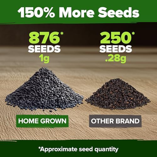 HOME GROWN Thai Basil Seeds, 876 Seeds, Ocimum basilicum var. thyrsiflora - Image 3