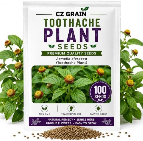 Toothache Plant Seeds for Planting | Medicinal Herb & Edible Flower | 100 by CZGrain
