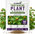 Toothache Plant Seeds for Planting | Medicinal Herb & Edible Flower | 100 by CZGrain