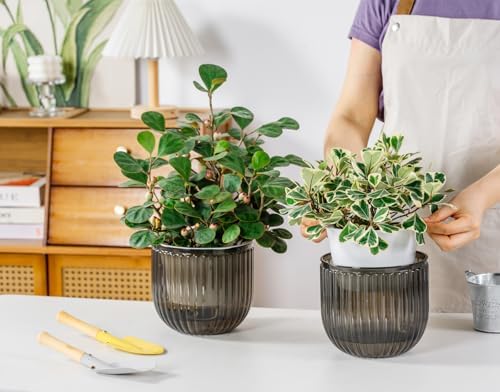 Melphoe 2 Pack Self Watering Hanging Planters Indoor Flower Pots, 6.5 Inch Outdoor Hanging Plant Pot Basket, Plant Hanger with 3Hooks Drainage Holes for Garden Home (Gray) - Image 4