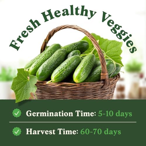 Organic Non-GMO Vegetable Seeds for Planting (Marketmore Cucumber) - Image 2