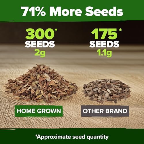 HOME GROWN Zinnia Seeds, Coral, 300 Seeds, Zinnia elegans - Image 3