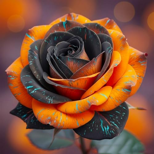 285+ Mix Rose Seeds for Outdoor Planting - Perennial Flower, High Germination Rate, Fragrant Garden Roses, Heirloom Variety - Image 3
