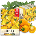 Seed Needs Mini Yellow Bell Pepper Seeds to Plant Vegetables - 10 Packs by SeedNeeds