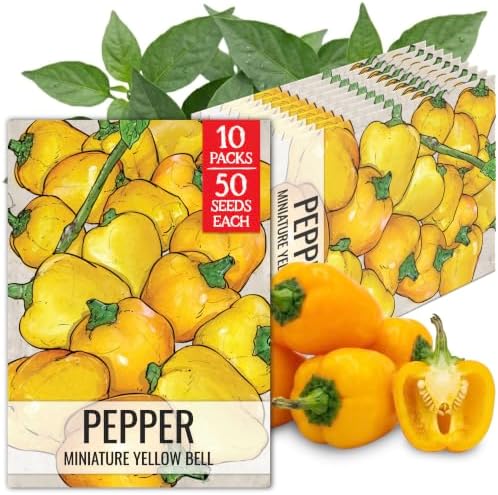 Seed Needs Mini Yellow Bell Pepper Seeds to Plant Vegetables - 10 Packs by SeedNeeds
