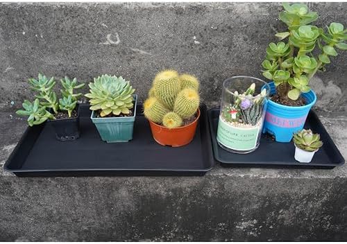 VUWEZ Plant Growing Trays 6 Pack, Plant Tray, 14.5"x11", Heavy Sturdy Plastic Plants Saucer, Seedling Starter Trays, Seed Starter Growing Tray (Black) - Image 6