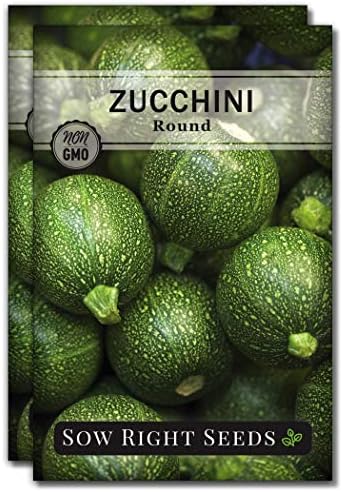 Sow Right Seeds - Round Zucchini Seed for Planting Summer Squash Garden 2pk by SowRightSeeds