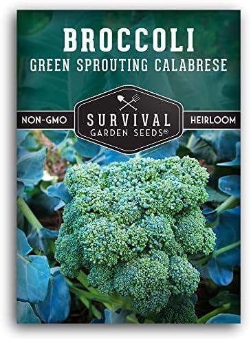 Green Sprouting Calabrese Broccoli Seeds for Planting (1 Pack) by SurvivalGardenSeeds