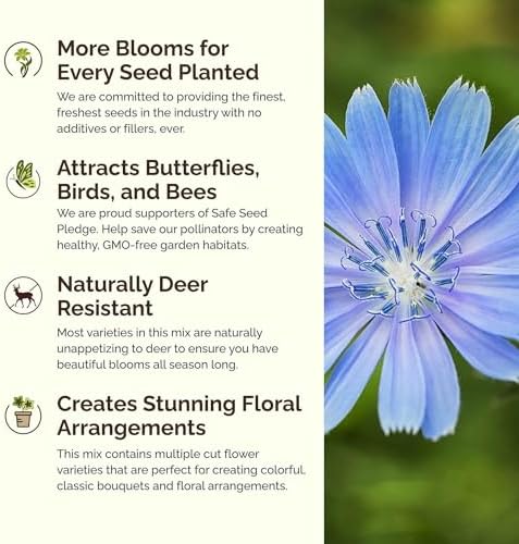 Eden Brothers Singin the Blues Wildflower Mixed Seeds for Planting, 5 lb, 2,400,000+ Seeds with Blue Flax, Lupine, Chicory, Attracts Pollinators, Plant in Spring or Fall, Zones 3, 4, 5, 6, 7, 8, 9, 10 - Image 4