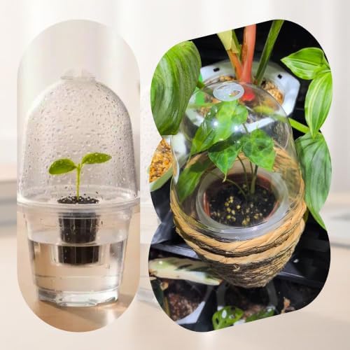 pson 10Pcs 3.5 Inch Clear Plant Humidity Dome Cover, Reusable Plastic Frost Protection Mini Greenhouse for Indoor and Outdoor Plant Growth - Image 7