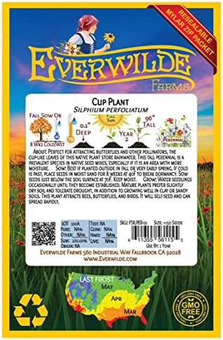 75 Cup Plant Native Wildflower Seeds - Gold Vault Jumbo Seed Packet - Image 2