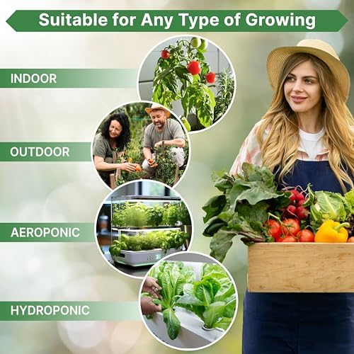 14 Herb, Tomato & Chili Pepper Gardening Seeds Salsa Variety Pack for Outdoors & Indoor Garden 5180+ Non-GMO Heirloom Seeds Cilantro, Basil, Oregano, Parsley, Onion, Pepper Tomato Seed - Image 5