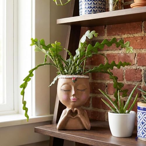 Face Planter Pot with Heart Hands Indoor Plants Resin Head Planter, Brown - Image 4