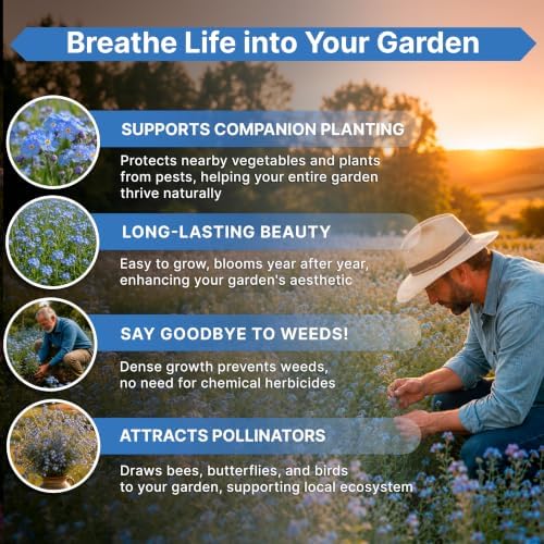 Cape Forget-Me-Not Seeds 1oz - Over 12,000 Non-GMO Heirloom Forget Me Not Seeds for Planting, Annual Flowers in Individual Seed Packet, Planting Home Garden Indoor & Outdoor Gardening - Image 5
