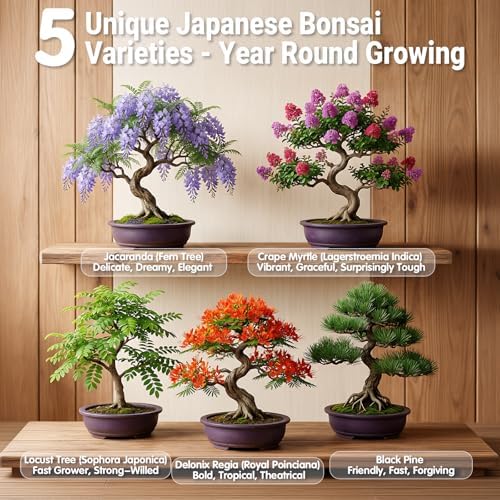 Bonsai Tree Starter Kit for Beginners 5 Unique Indoor Plants - Image 4