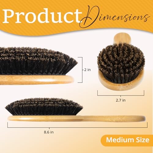 Belula 100% Boar Bristle Hair Brush Set, Medium, for Thin and Fine Hair - Image 2