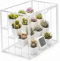 Clear Mini Greenhouse Indoor, Tabletop Portable Greenhouse with Magnetic Door Small Acrylic Plant Green House for Seed Starting, Plant Grow Warmer,and Home Gardening Display by Unknown