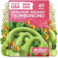 40 Tromboncino Squash Heirloom Vegetable Seeds, Cucurbita Moschata by KVITER