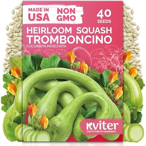 40 Tromboncino Squash Heirloom Vegetable Seeds, Cucurbita Moschata by KVITER