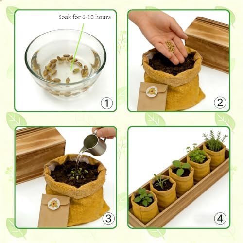 5 Herb Garden Kit, Wooden Box, Windowsill Basil Thyme Parsley Rosemary Mint - Image 4