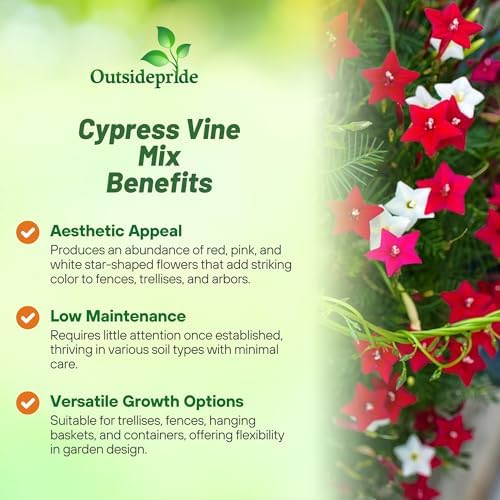 Outsidepride Mixed Cypress Vine Seeds - 100 Pcs Annual Flower Seeds with Nectar-Rich, Star-Shaped Flowers & Feathery, Fern-Like Leaves for Fences, Trellises, Pergolas & Vertical Gardens - Image 3