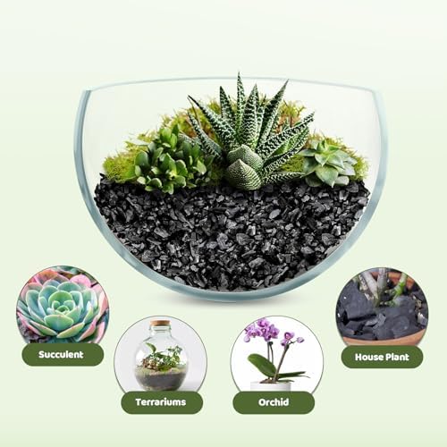 Horticultural Charcoal 4qt for Plants, Actived Charcoal Terrarium Supplies, Suitable for Indoor Plants, Succulent, Orchid, Cactus, Bonsai - Image 4