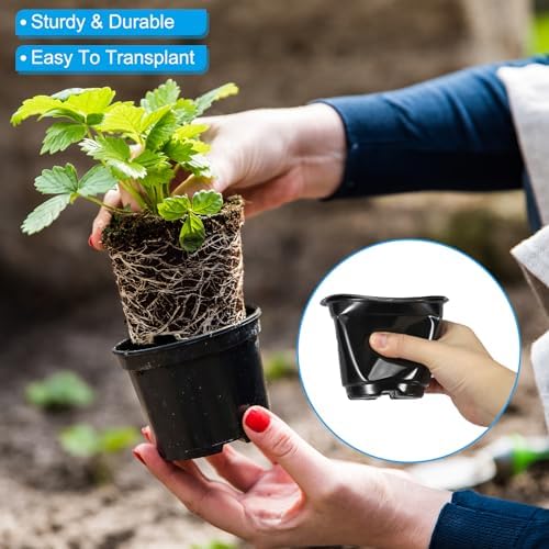 PATIKIL Nursery Pots with Humidity Dome, 20 Sets 3.5" Plastic Gardening Pot Planting Container Cups Plant Starting Pots with Drainage Holes, Black - Image 5