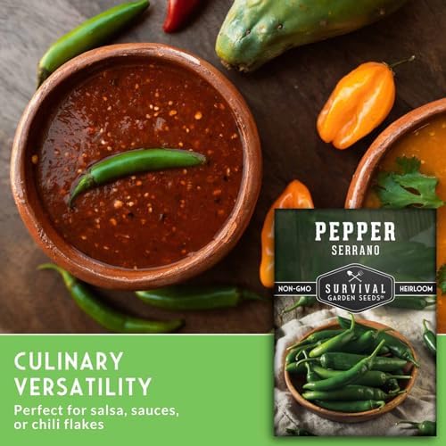 Mexican Serrano Pepper Seeds for Planting - 5 Packs - Image 5