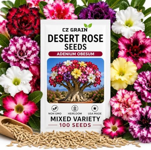 Desert Rose Seeds for Planting (Adenium Obesum) | Mixed Color Variety Bonsai Seeds | Rare Tropical Flowering Succulent | Exotic Indoor & Outdoor Ornamental Plant (100 Seeds) by CZGrain