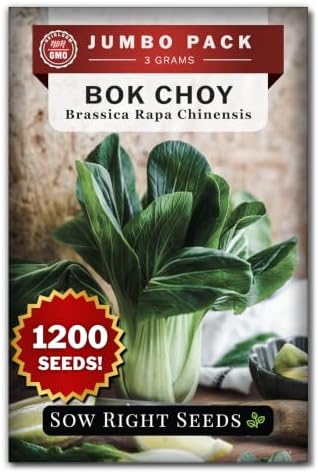 Sow Right Seeds - 1200 Bok Choy Seed for Planting Bulk Jumbo Pack Pak Choi by SowRightSeeds