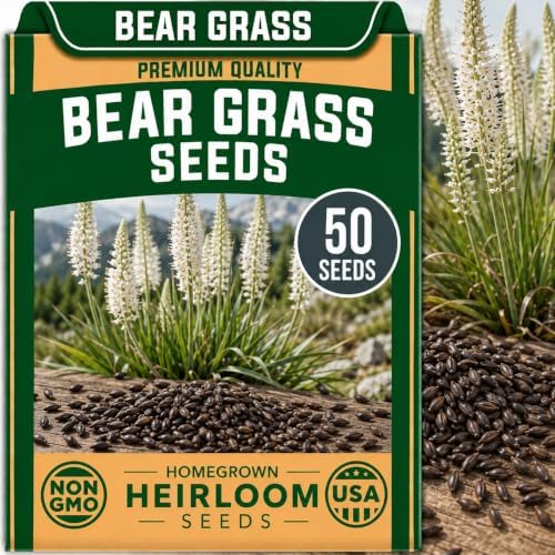 50 Bear Grass Seeds | Xerophyllum Tenax Native Perennial by CZGrain