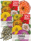 Seed Needs Crazy Zinnia Seeds for Planting Cut Flowers - 2 Packs by SeedNeeds