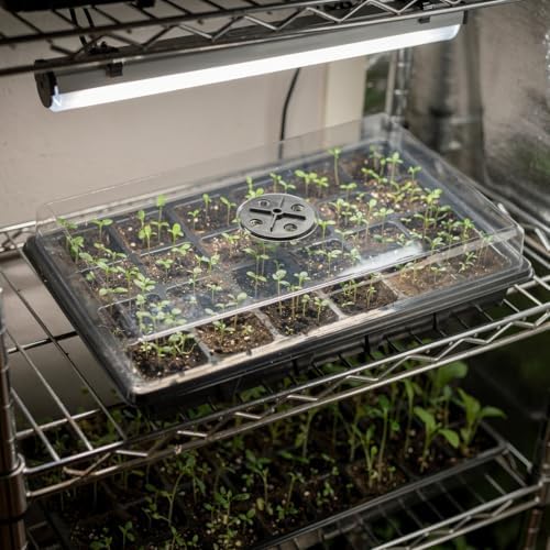 10-Pack Seed Starting Trays with Humidity Dome & Large 24-Cell 2" Plug Tray - Image 4