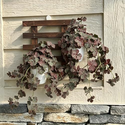 Dark Purple Artificial Shamrock Hanging Potted Plant, 2 Pack Fake Vine - Image 4
