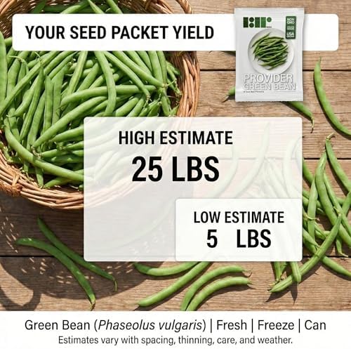 50 Green Bean Seeds for Planting - Provider - Bush Bean - Heirloom | Non-GMO | USA Grown - Image 2